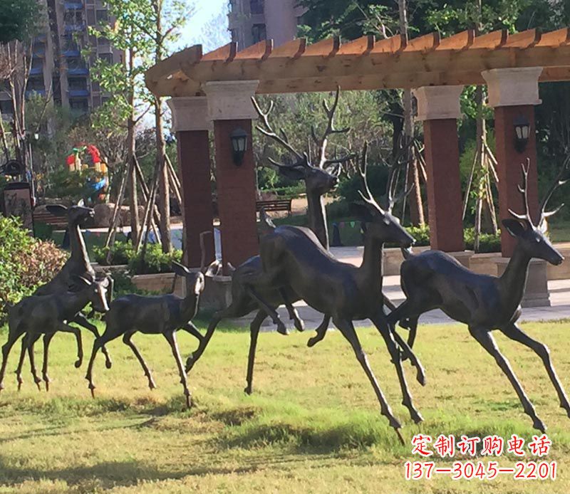 长沙“梅花鹿传递自由与美好”