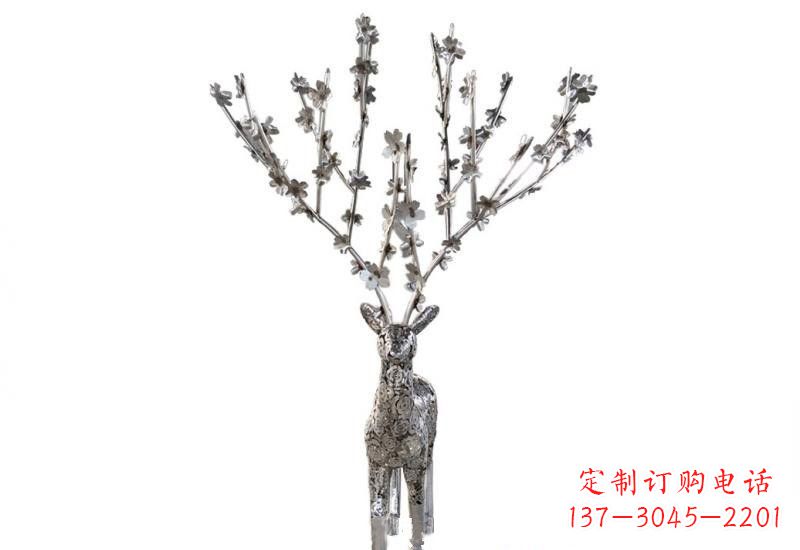 长沙梅花鹿的优雅身姿