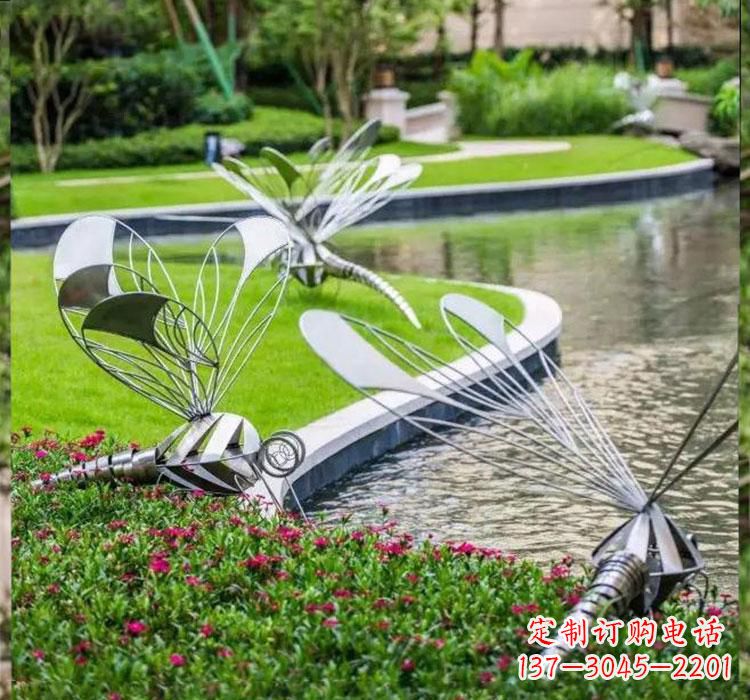 长沙不锈钢蜻蜓一件完美的动物雕塑
