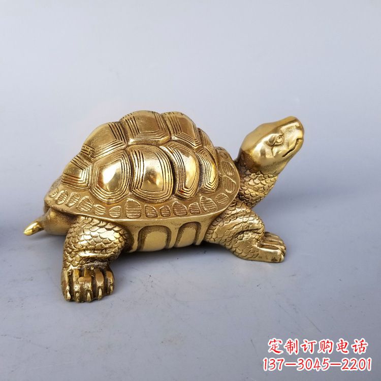 长沙静谧的纯铜乌龟雕塑