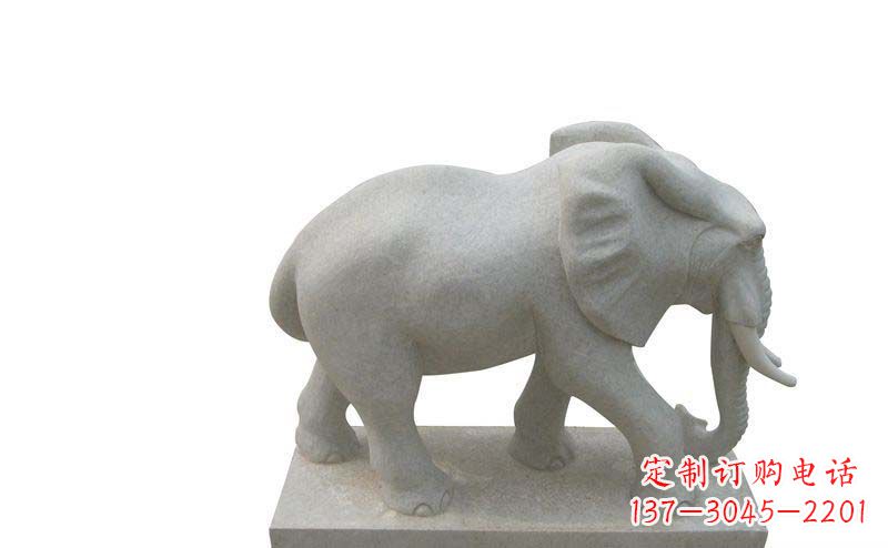 长沙大象雕塑大理石大象公园的精美艺术