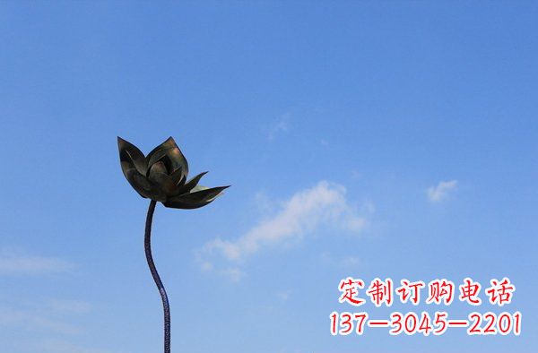 长沙公园不锈钢荷花雕塑