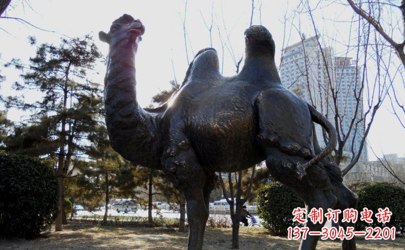 长沙优美雕刻骆驼铜雕塑