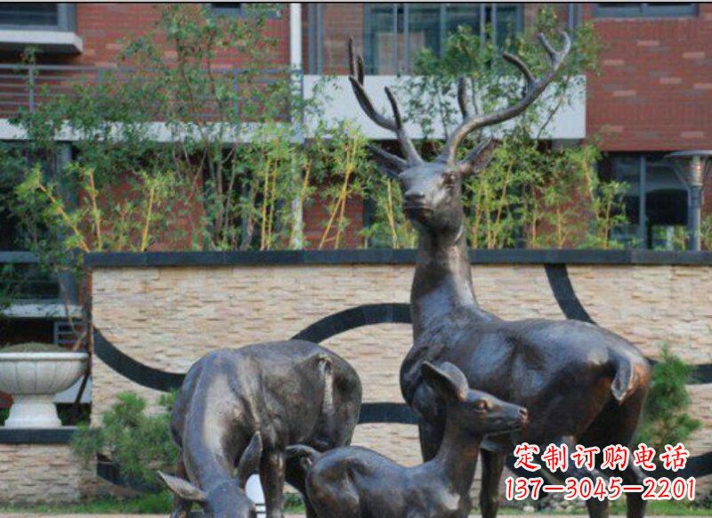 长沙古雅优雅的梅花鹿铜雕