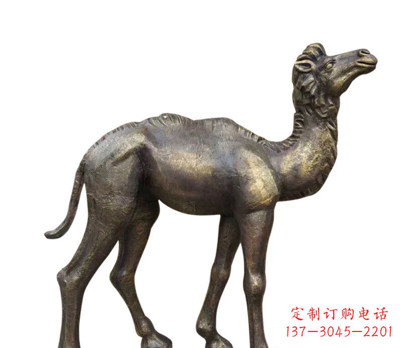 长沙奇美洁净的骆驼铜雕