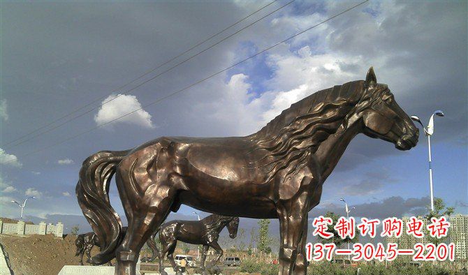 长沙精致细腻的马动物铜雕