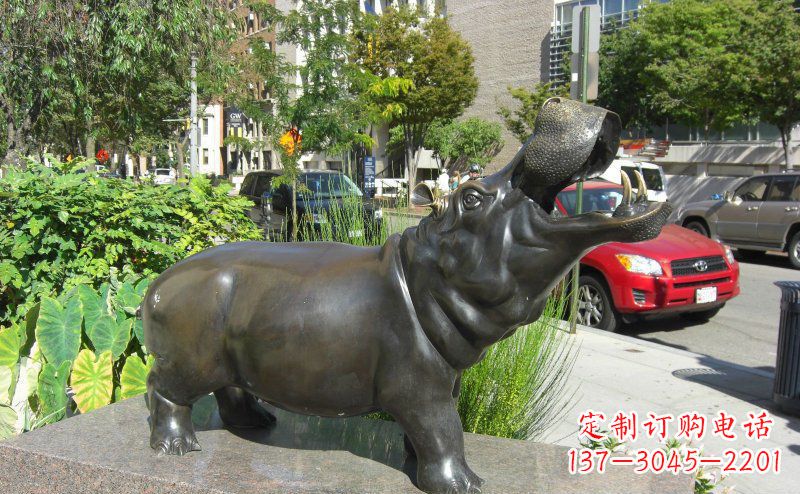长沙精美细腻的街边河马铜雕