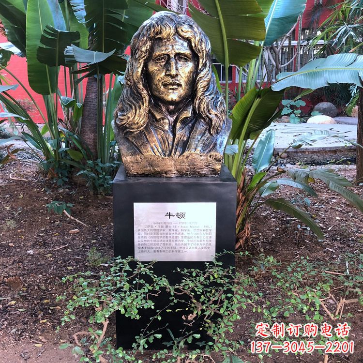 长沙牛顿纯铜头像雕塑