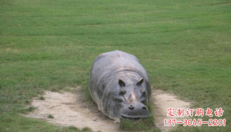 长沙铜雕趴着的河马