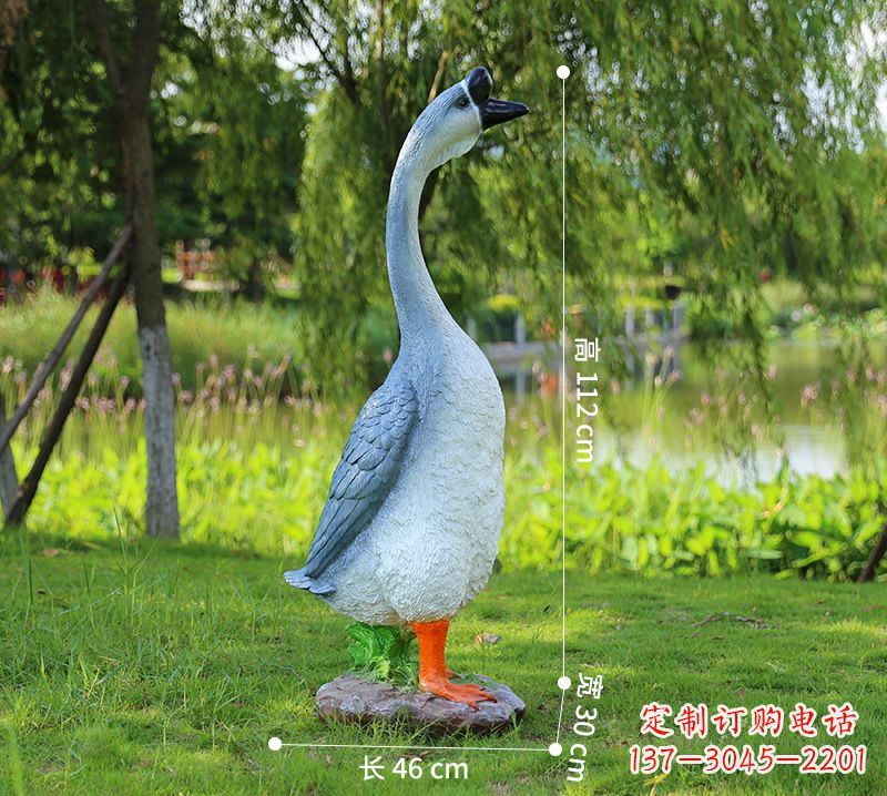 长沙站立立脖灰色天鹅