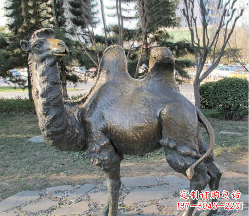 长沙骆驼铜雕塑